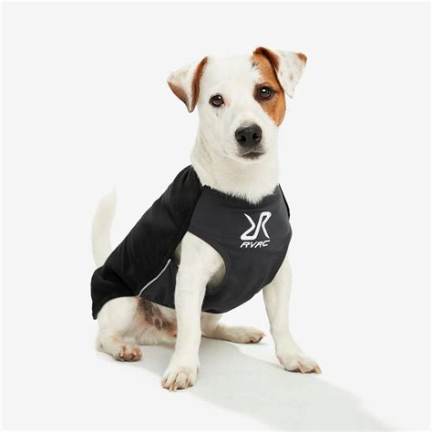 kläder till hund.